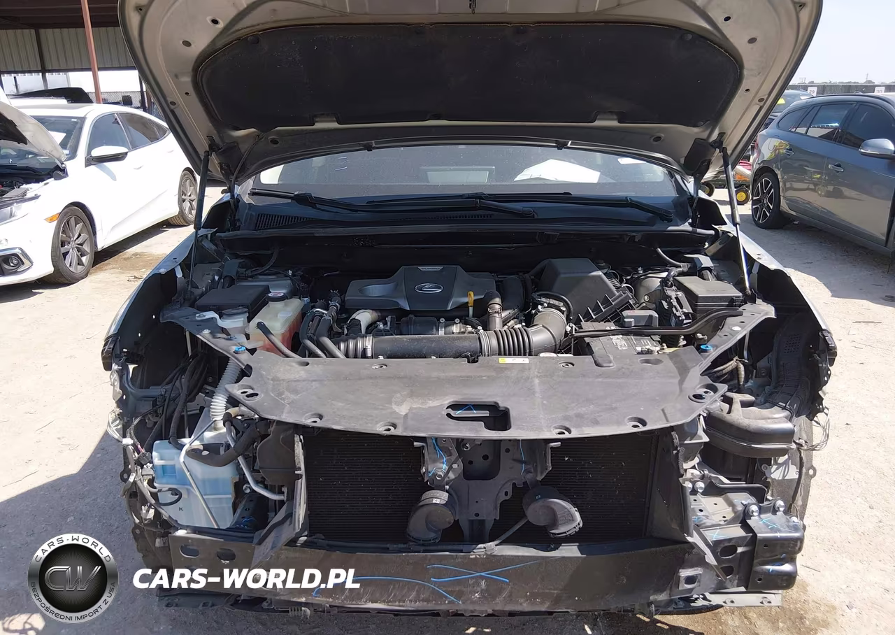 2020 Lexus Nx 300 VIN:JTJGARBZ5L2166290 - 10