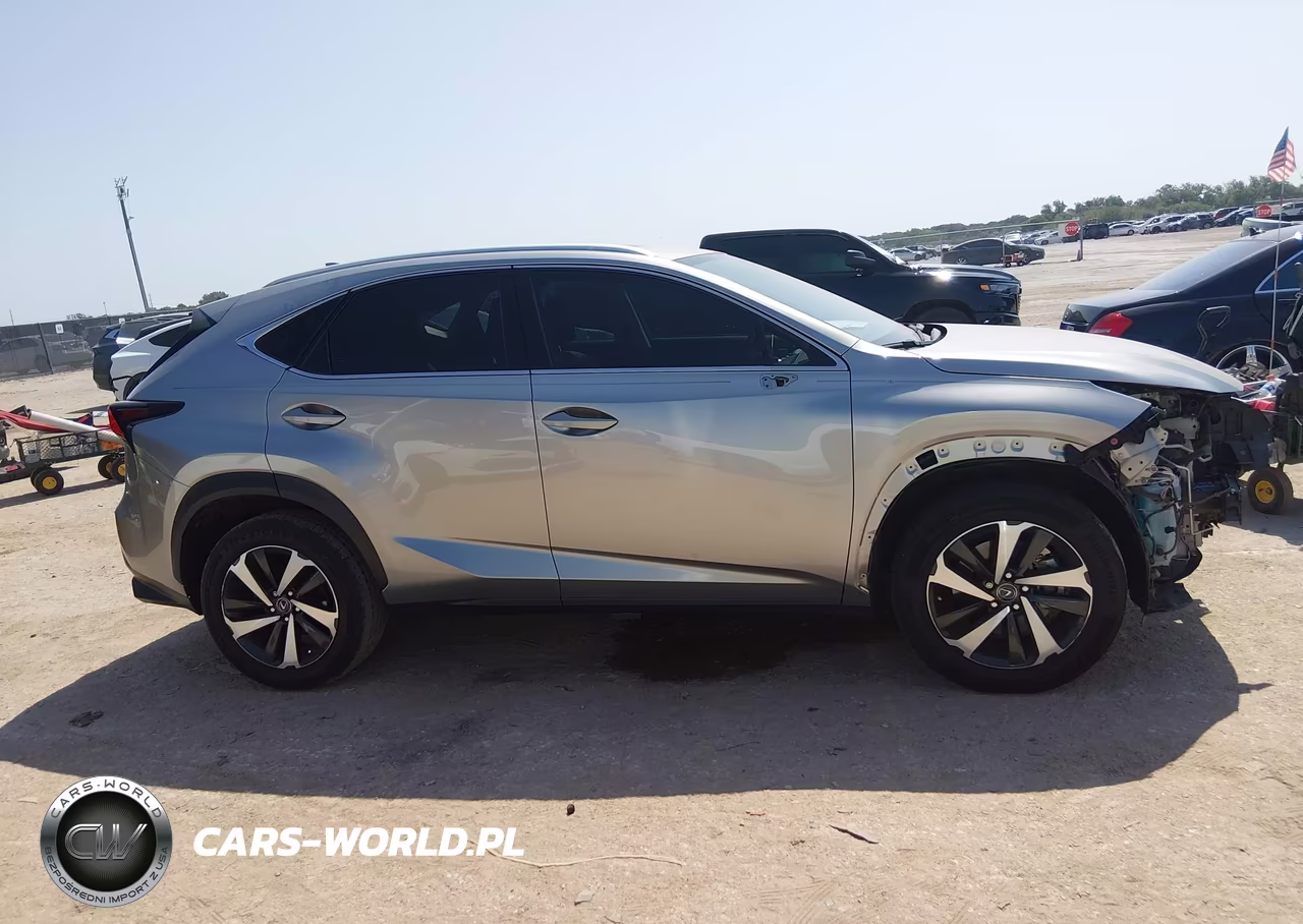 2020 Lexus Nx 300 VIN:JTJGARBZ5L2166290 - 13