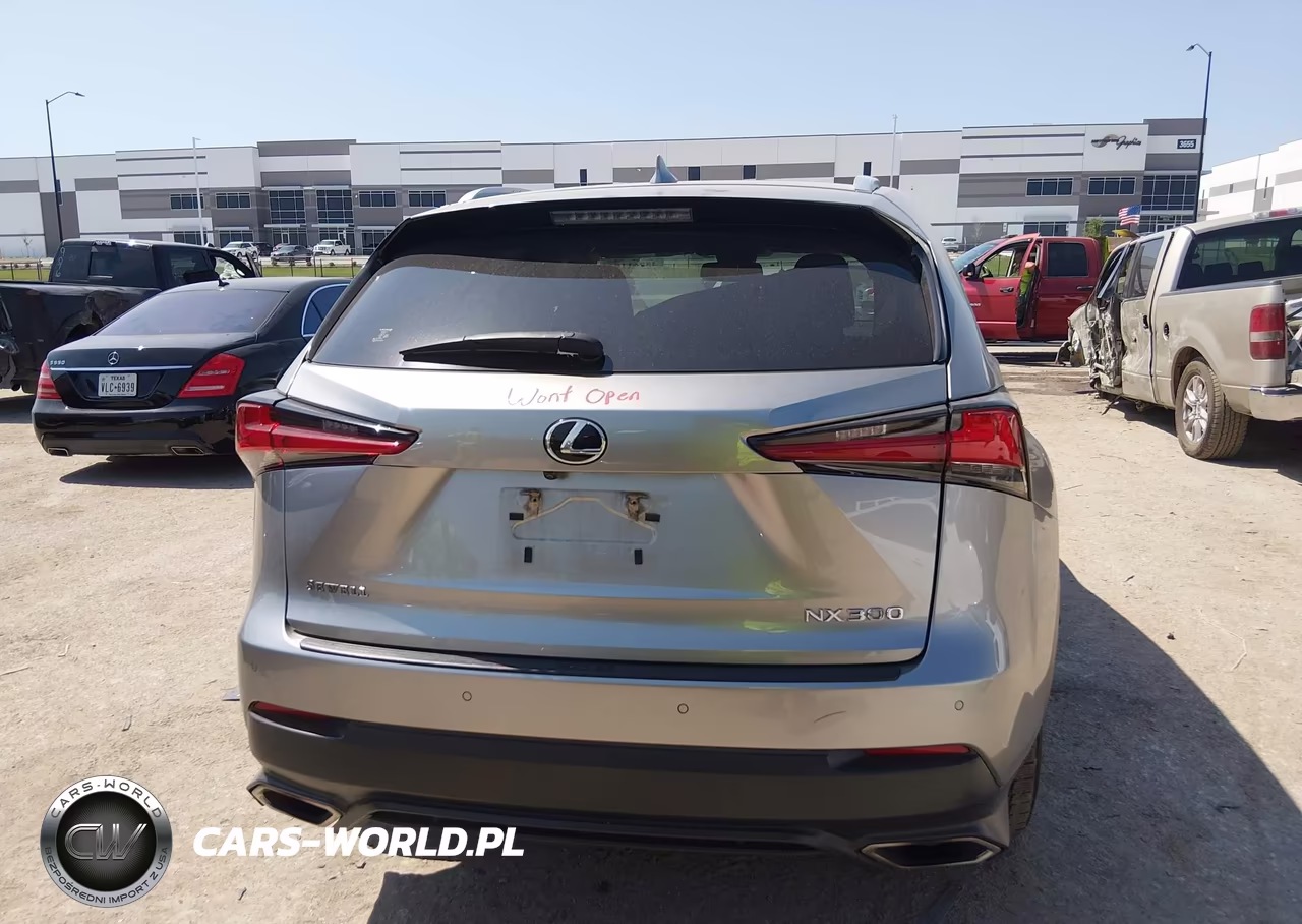 2020 Lexus Nx 300 VIN:JTJGARBZ5L2166290 - 16