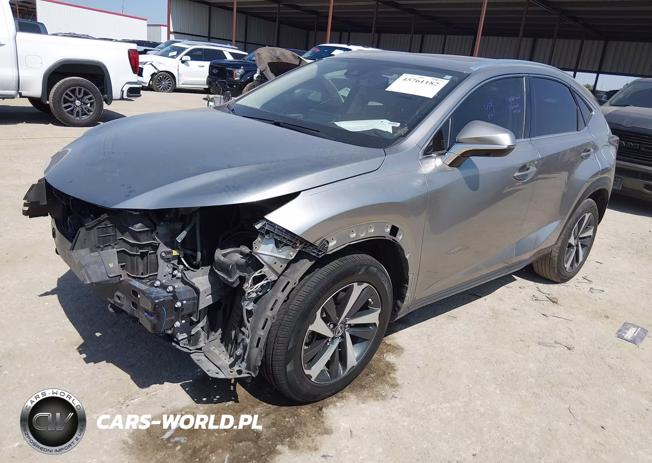 2020 Lexus Nx 300 VIN:JTJGARBZ5L2166290 - 2