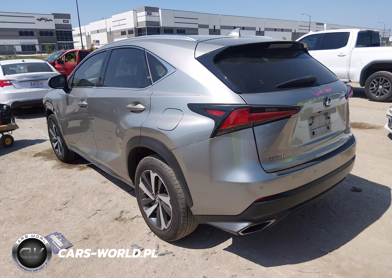 2020 Lexus Nx 300 VIN:JTJGARBZ5L2166290 - 3
