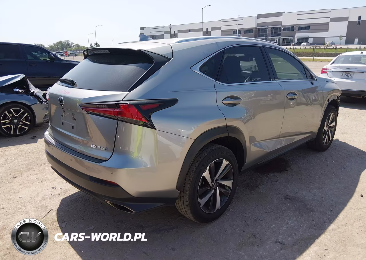 2020 Lexus Nx 300 VIN:JTJGARBZ5L2166290 - 4
