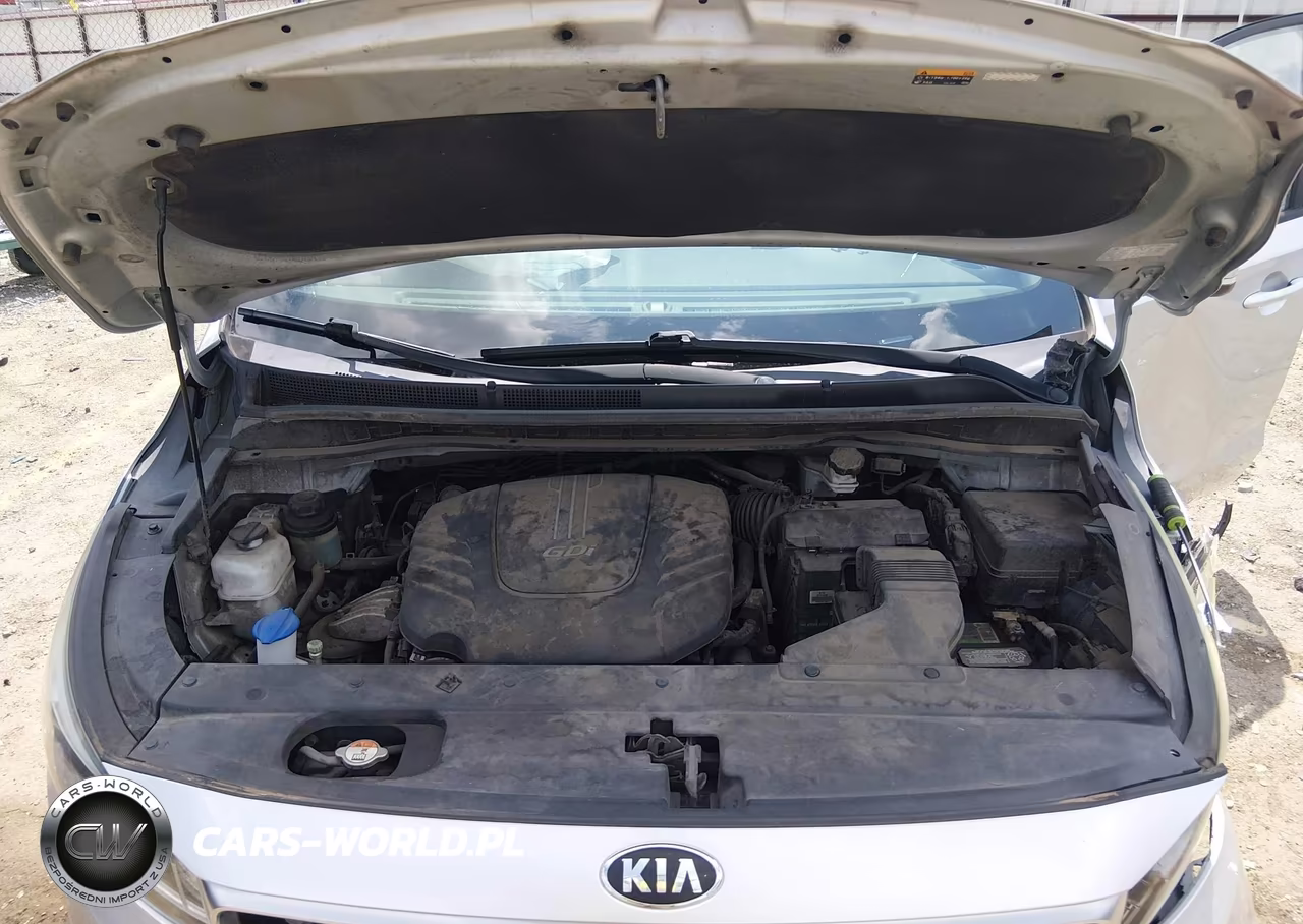 2016 Kia Sedona Lx VIN:KNDMB5C17G6085570 - 10