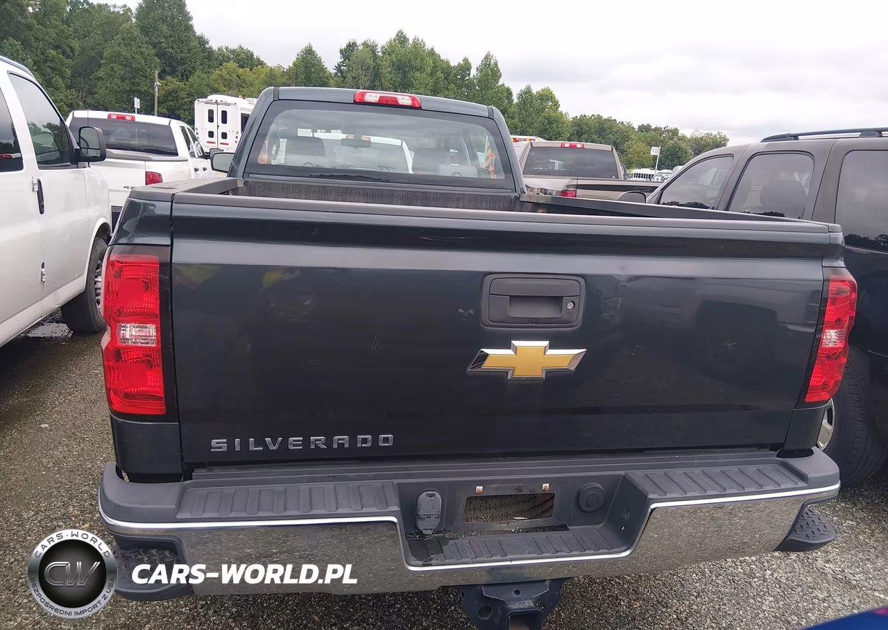 2018 Chevrolet Silverado 2500Hd Wt VIN:1GC1KUEG8JF261015 - 17