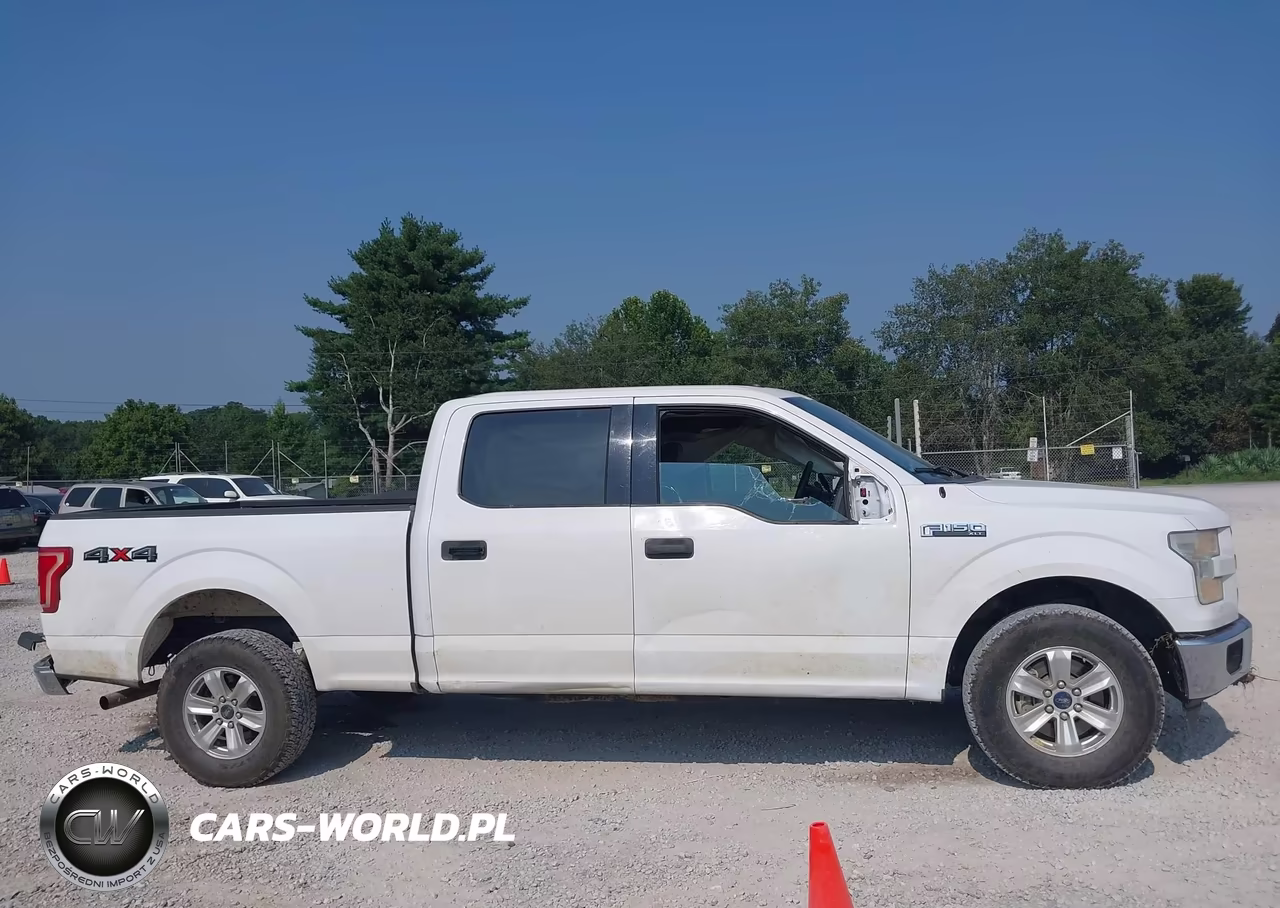 2016 Ford F-150 Xlt VIN:1FTFW1EF5GKD60360 - 13