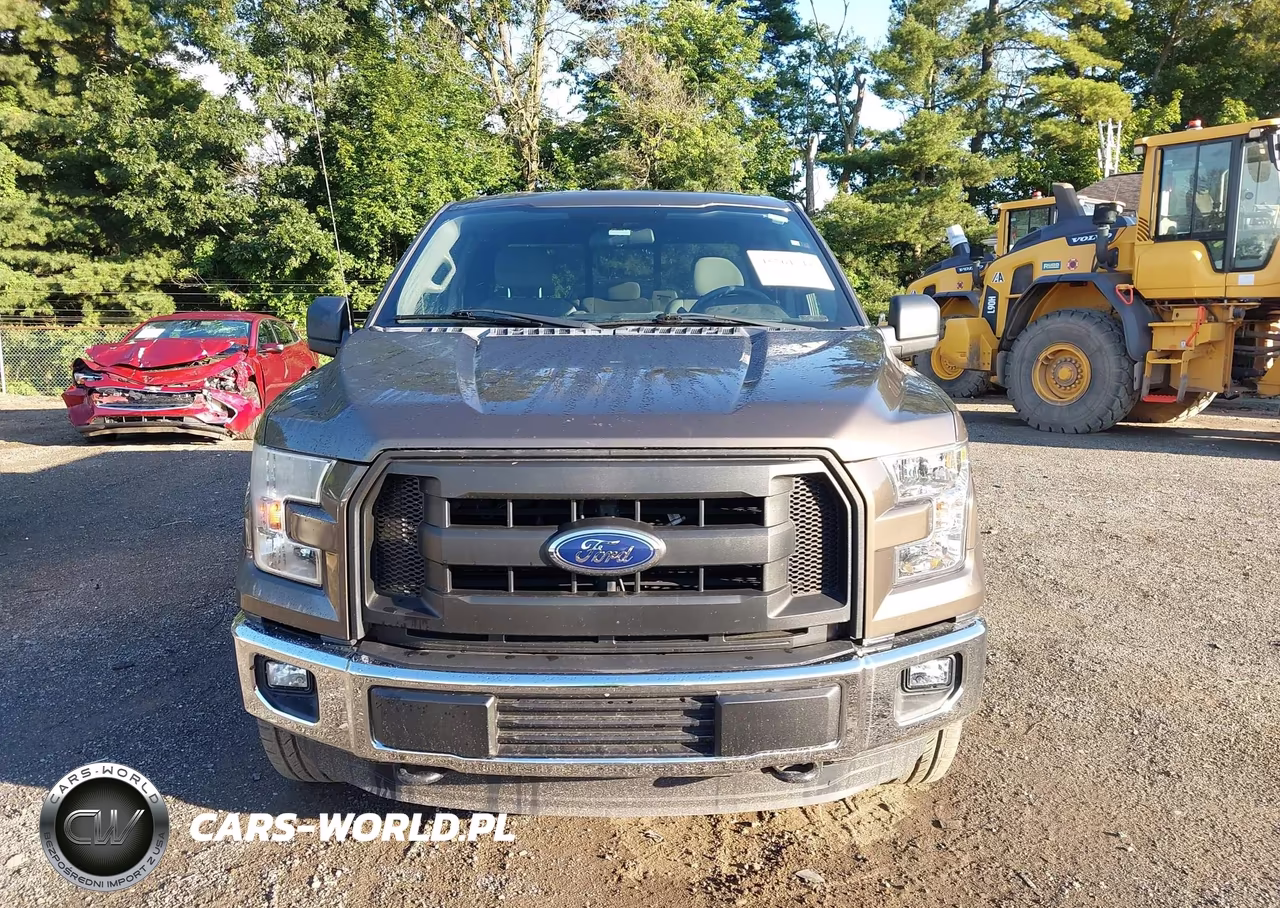2016 Ford F-150 Xl VIN:1FTEX1EP4GFC38163 - 13