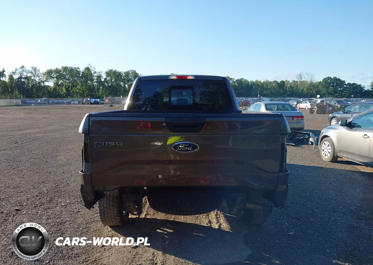 2016 Ford F-150 Xl VIN:1FTEX1EP4GFC38163 - 17