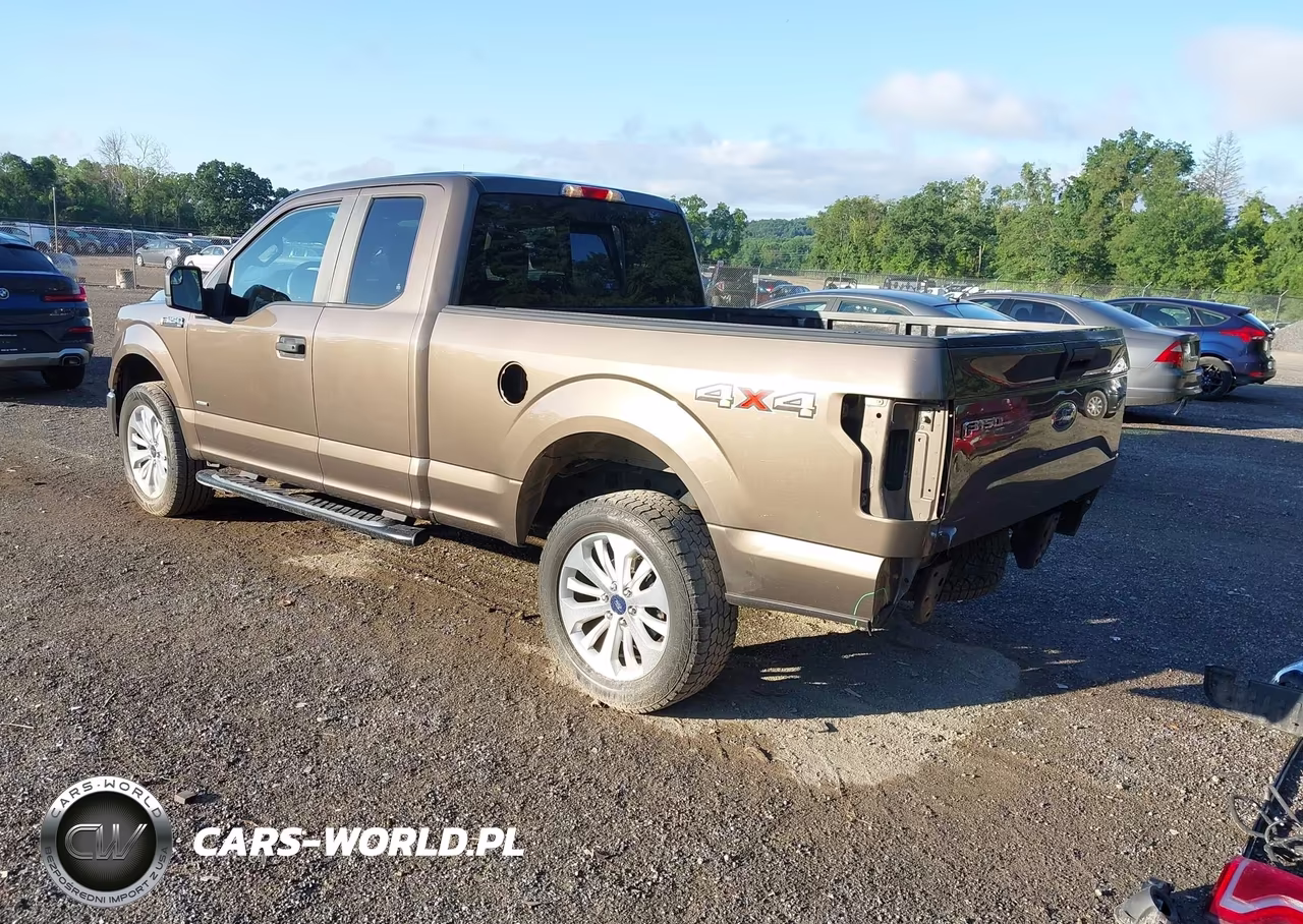 2016 Ford F-150 Xl VIN:1FTEX1EP4GFC38163 - 3