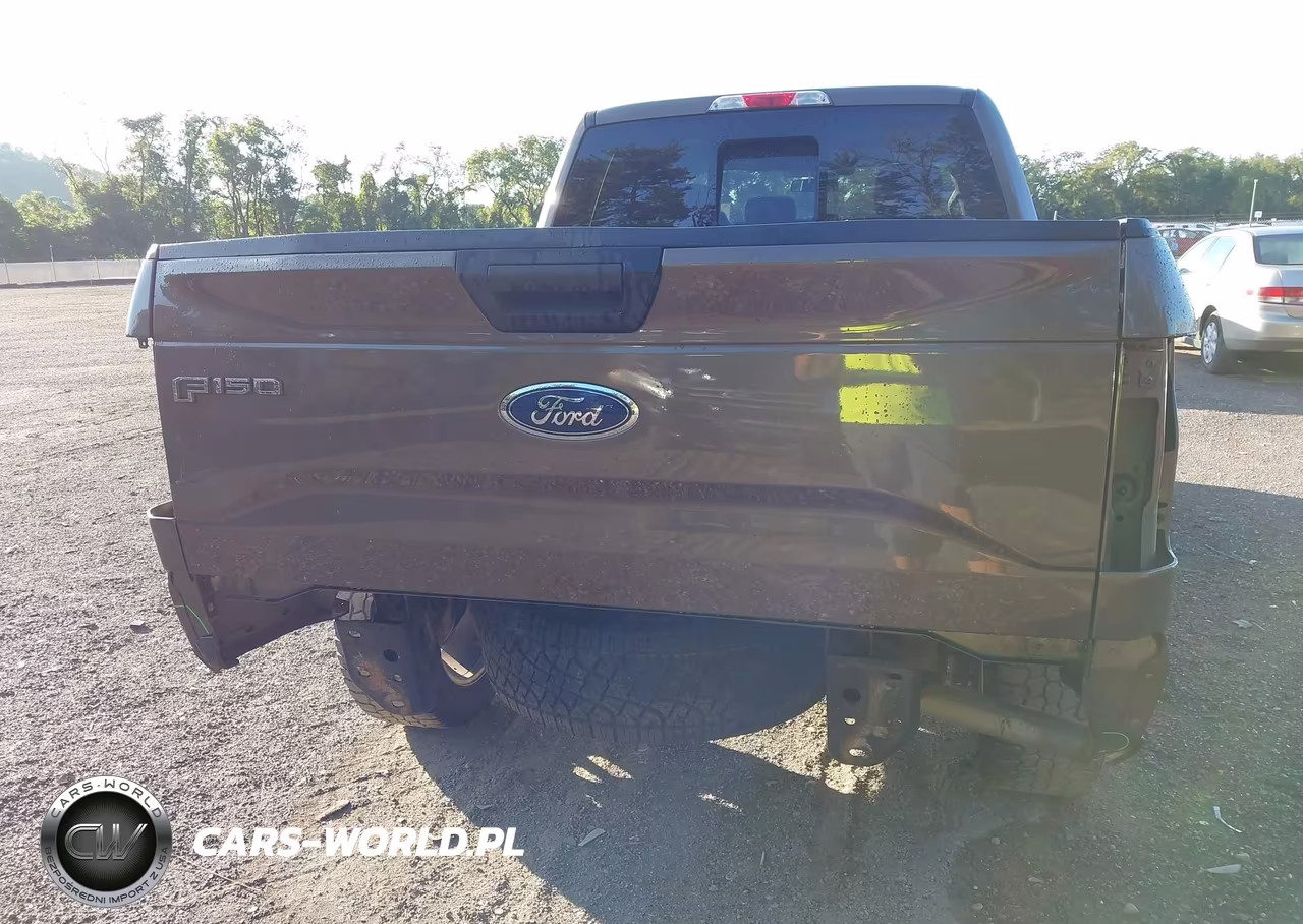 2016 Ford F-150 Xl VIN:1FTEX1EP4GFC38163 - 6