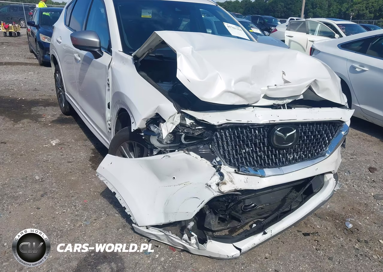 2024 Mazda Cx-5 2.5 Turbo Signature VIN:JM3KFBXY1R0360428 - 19