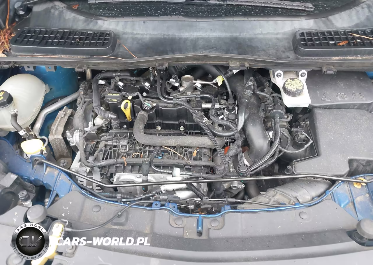 2018 Ford Escape Se VIN:1FMCU0GD7JUA36770 - 10
