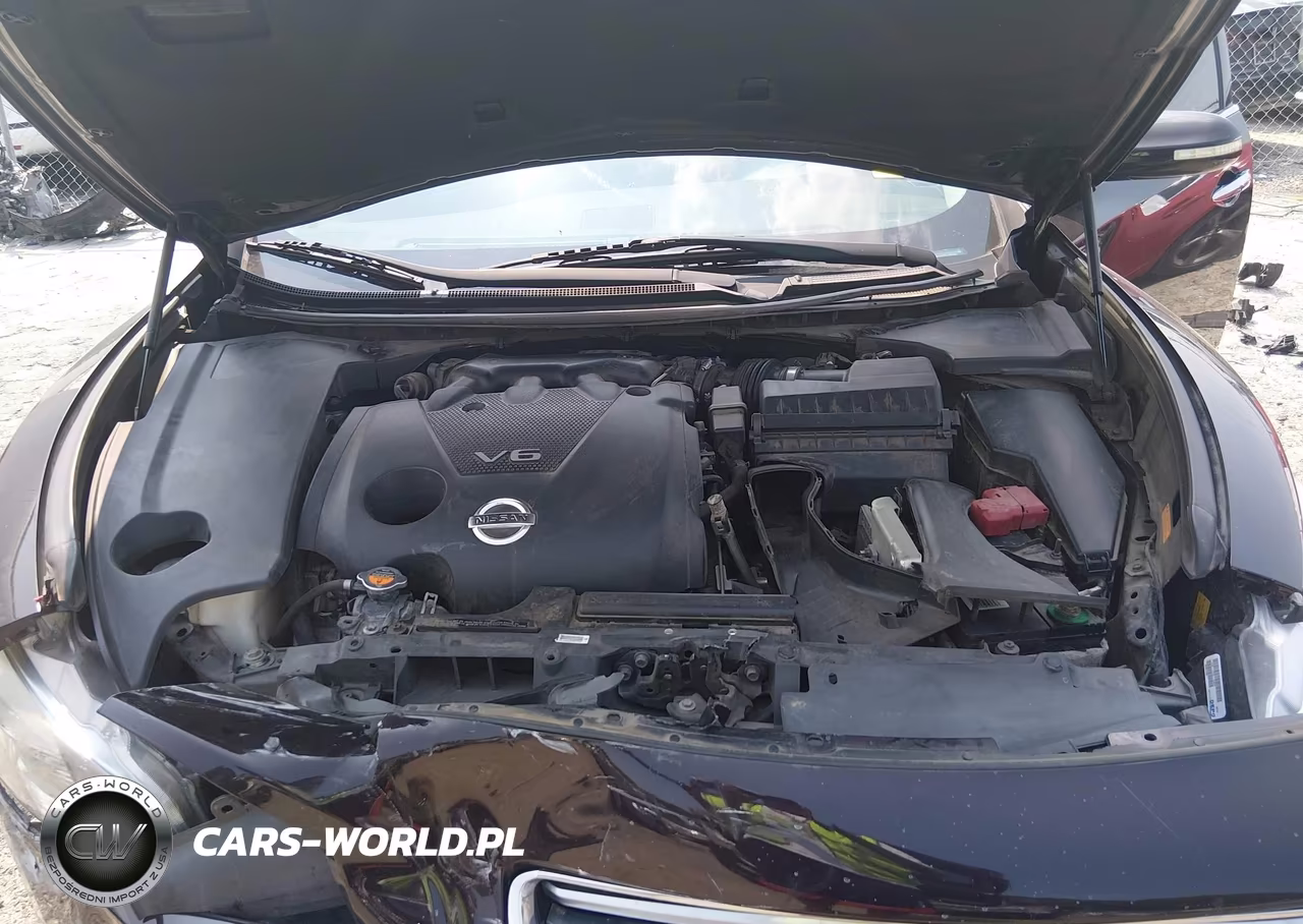 2014 Nissan Maxima 3.5 Sv VIN:1N4AA5AP6EC495908 - 10