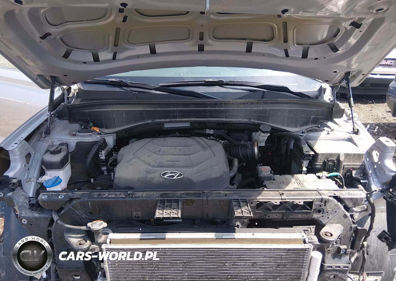 2024 Hyundai Palisade Sel VIN:KM8R44GE0RU705323 - 10
