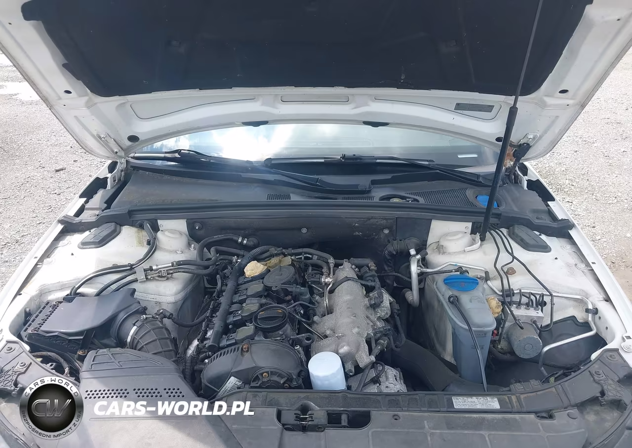 2013 Audi A4 2.0T Premium VIN:WAUFFAFL0DN018794 - 10