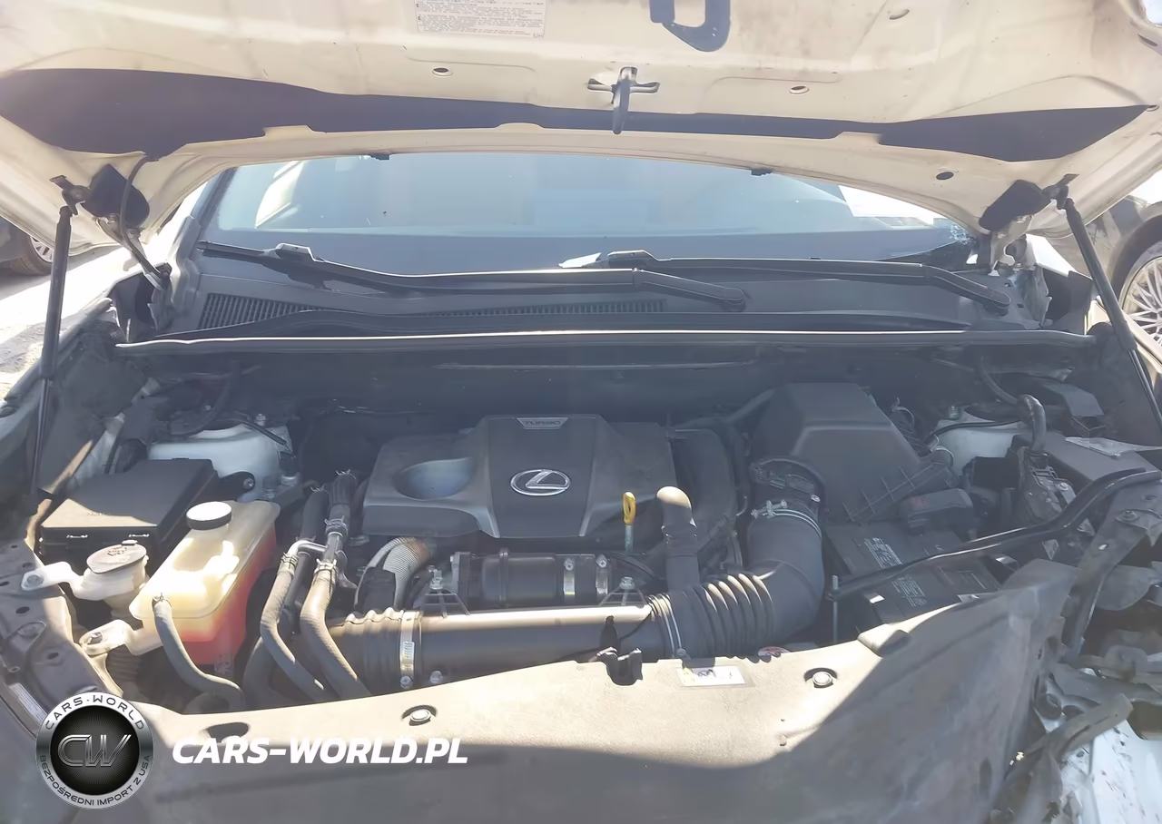 2020 Lexus Nx 300 VIN:JTJGARBZ7L5017815 - 10