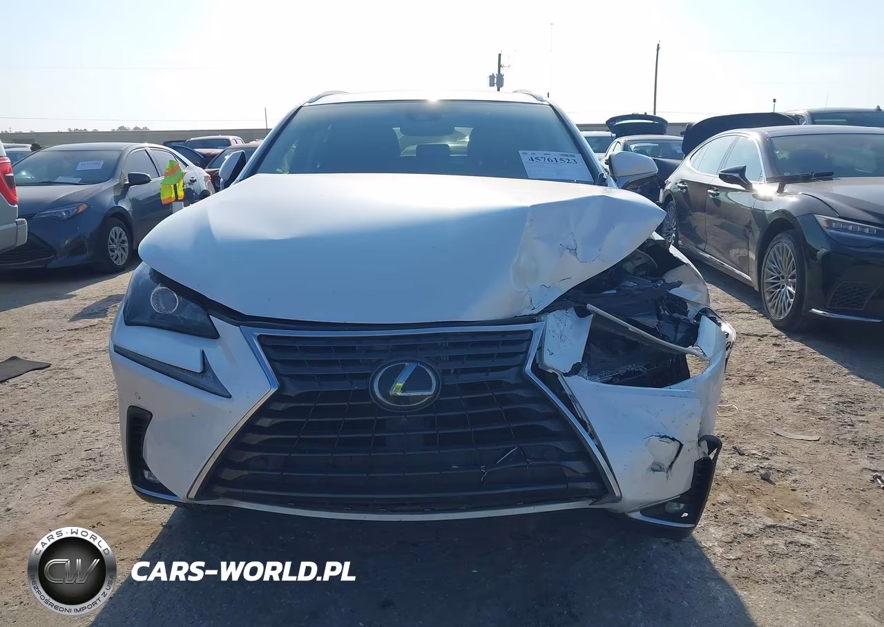 2020 Lexus Nx 300 VIN:JTJGARBZ7L5017815 - 12