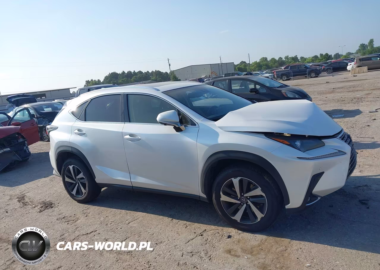 2020 Lexus Nx 300 VIN:JTJGARBZ7L5017815 - 13