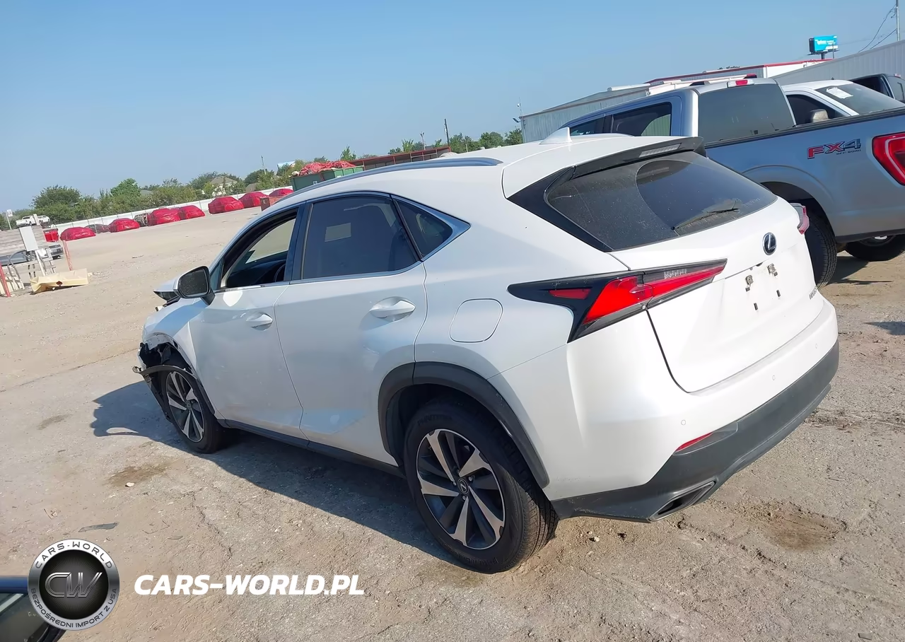 2020 Lexus Nx 300 VIN:JTJGARBZ7L5017815 - 14