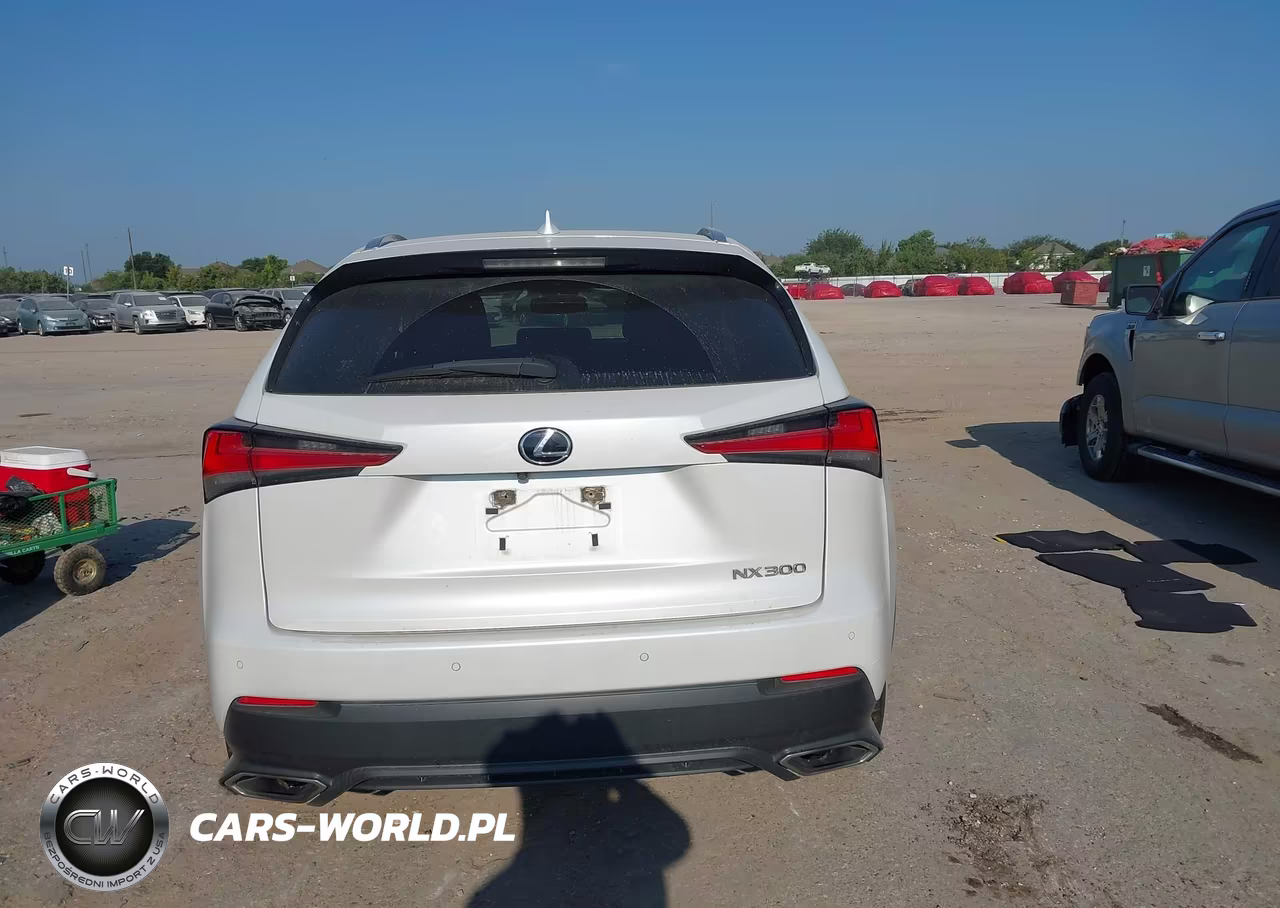 2020 Lexus Nx 300 VIN:JTJGARBZ7L5017815 - 16