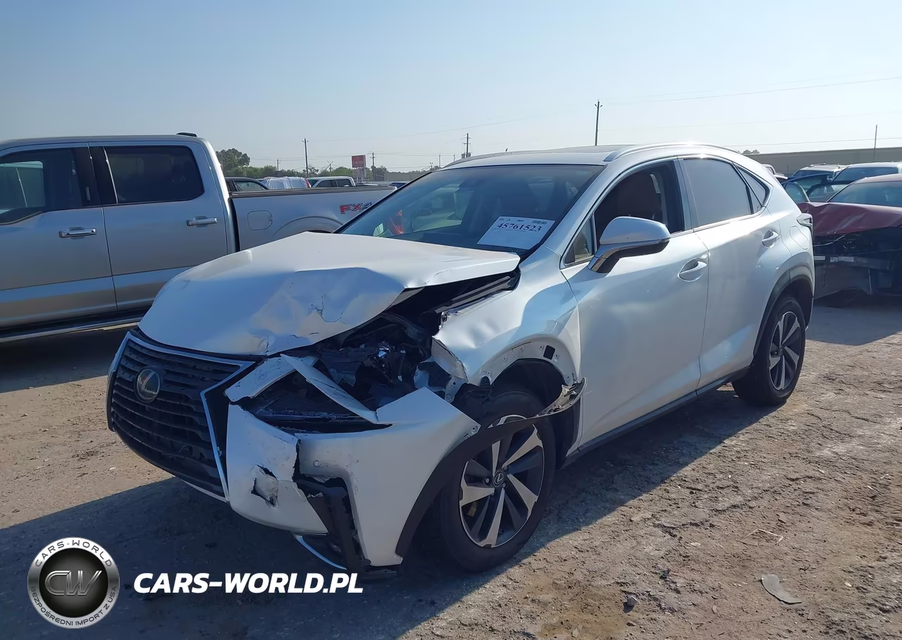 2020 Lexus Nx 300 VIN:JTJGARBZ7L5017815 - 2
