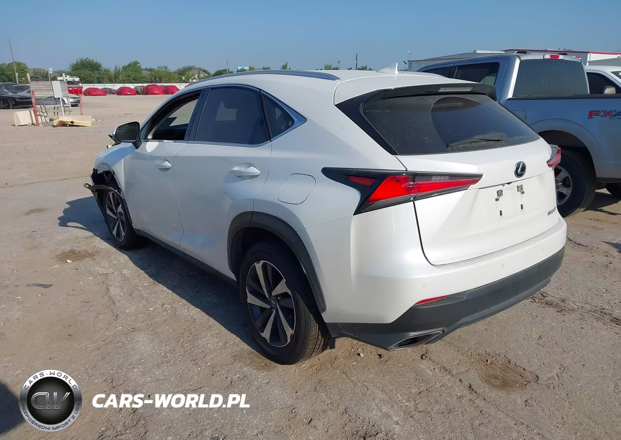 2020 Lexus Nx 300 VIN:JTJGARBZ7L5017815 - 3