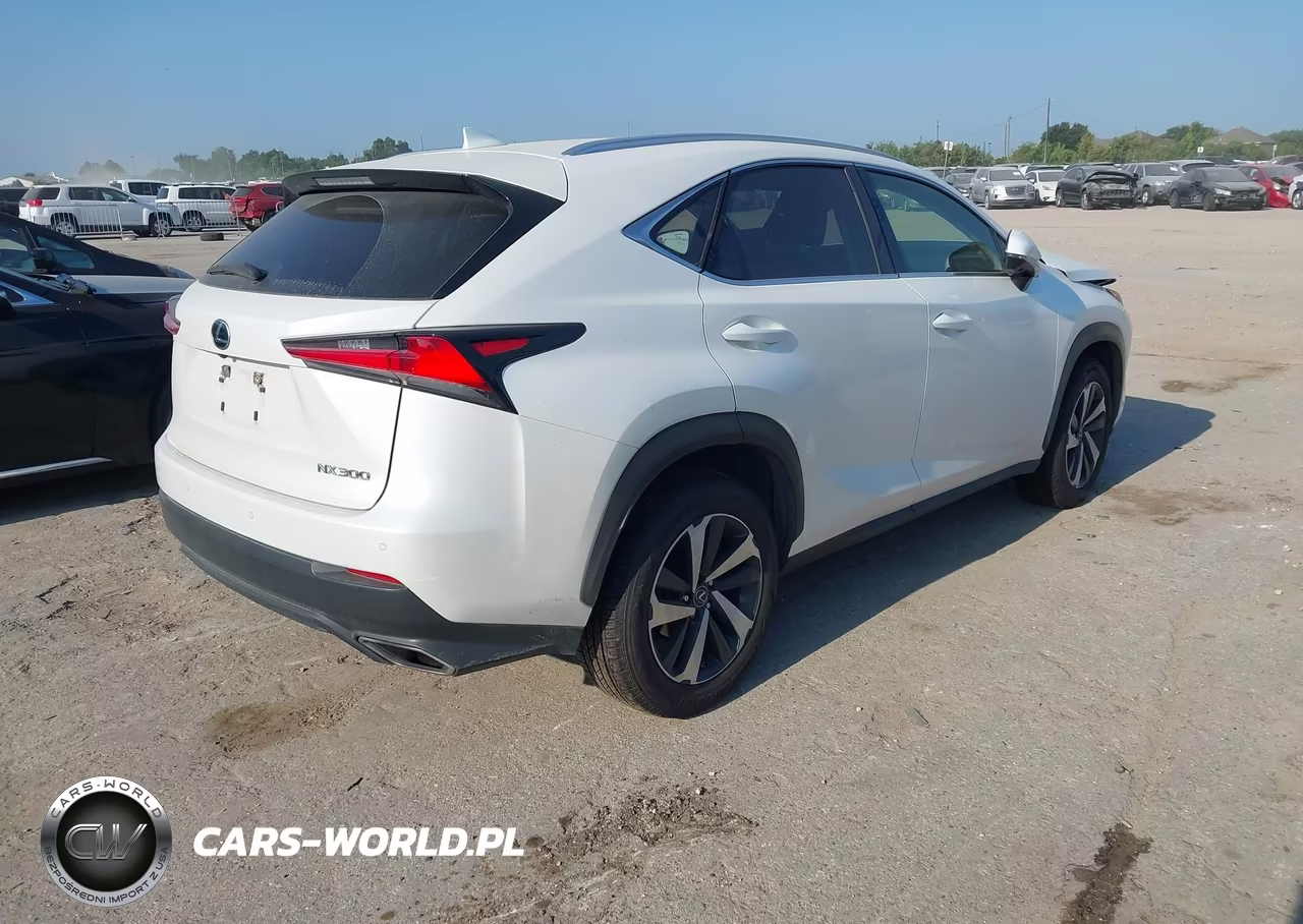 2020 Lexus Nx 300 VIN:JTJGARBZ7L5017815 - 4
