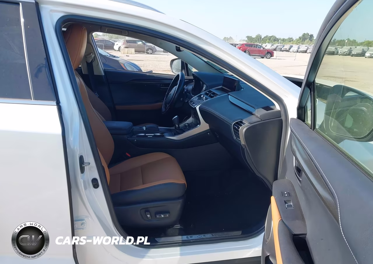 2020 Lexus Nx 300 VIN:JTJGARBZ7L5017815 - 5