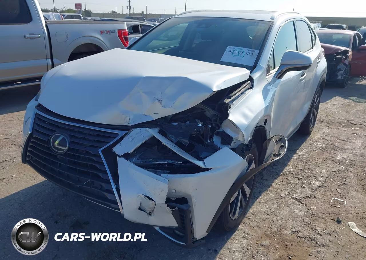 2020 Lexus Nx 300 VIN:JTJGARBZ7L5017815 - 6