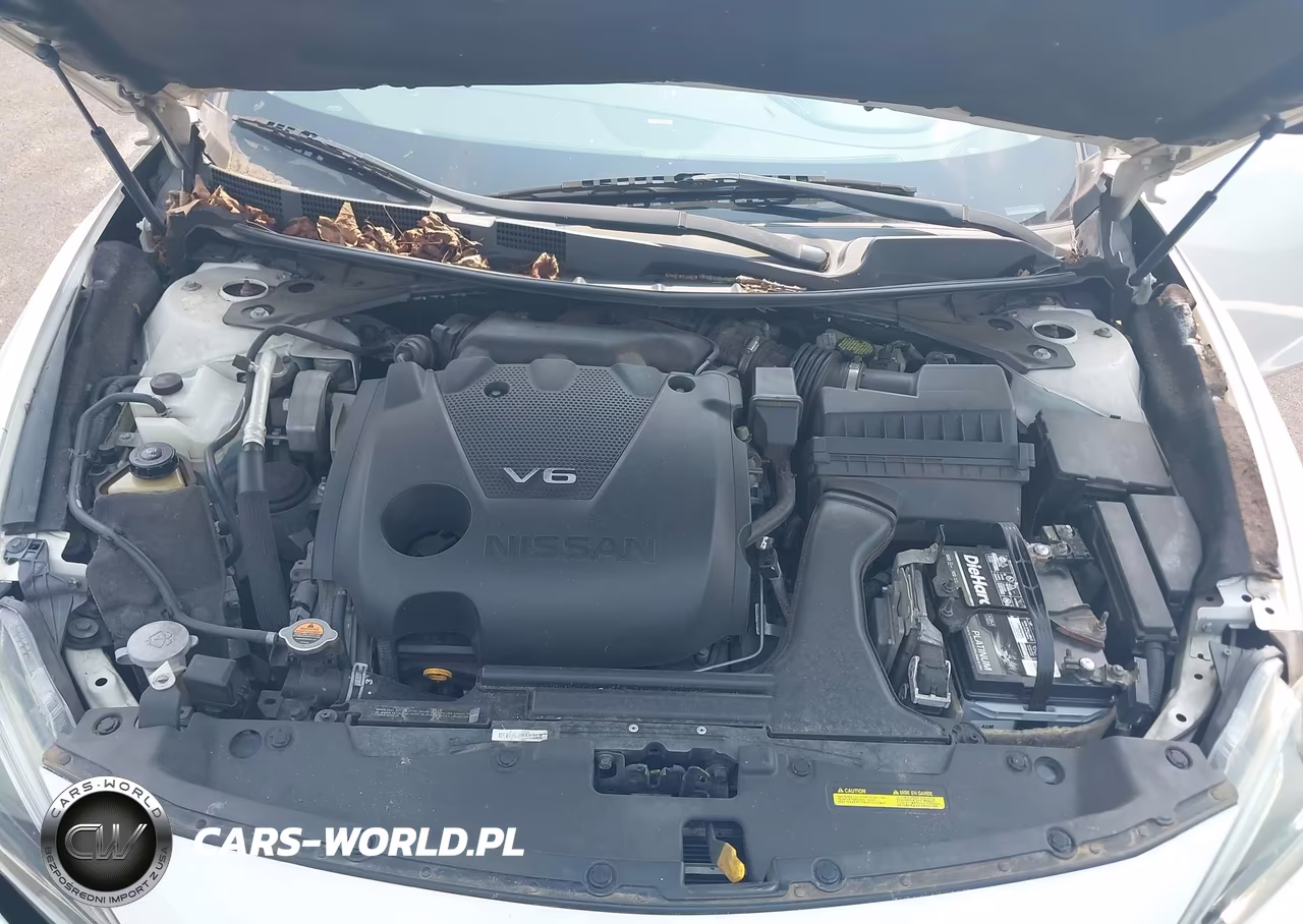 2016 Nissan Maxima 3.5 Sl VIN:1N4AA6AP3GC905816 - 10