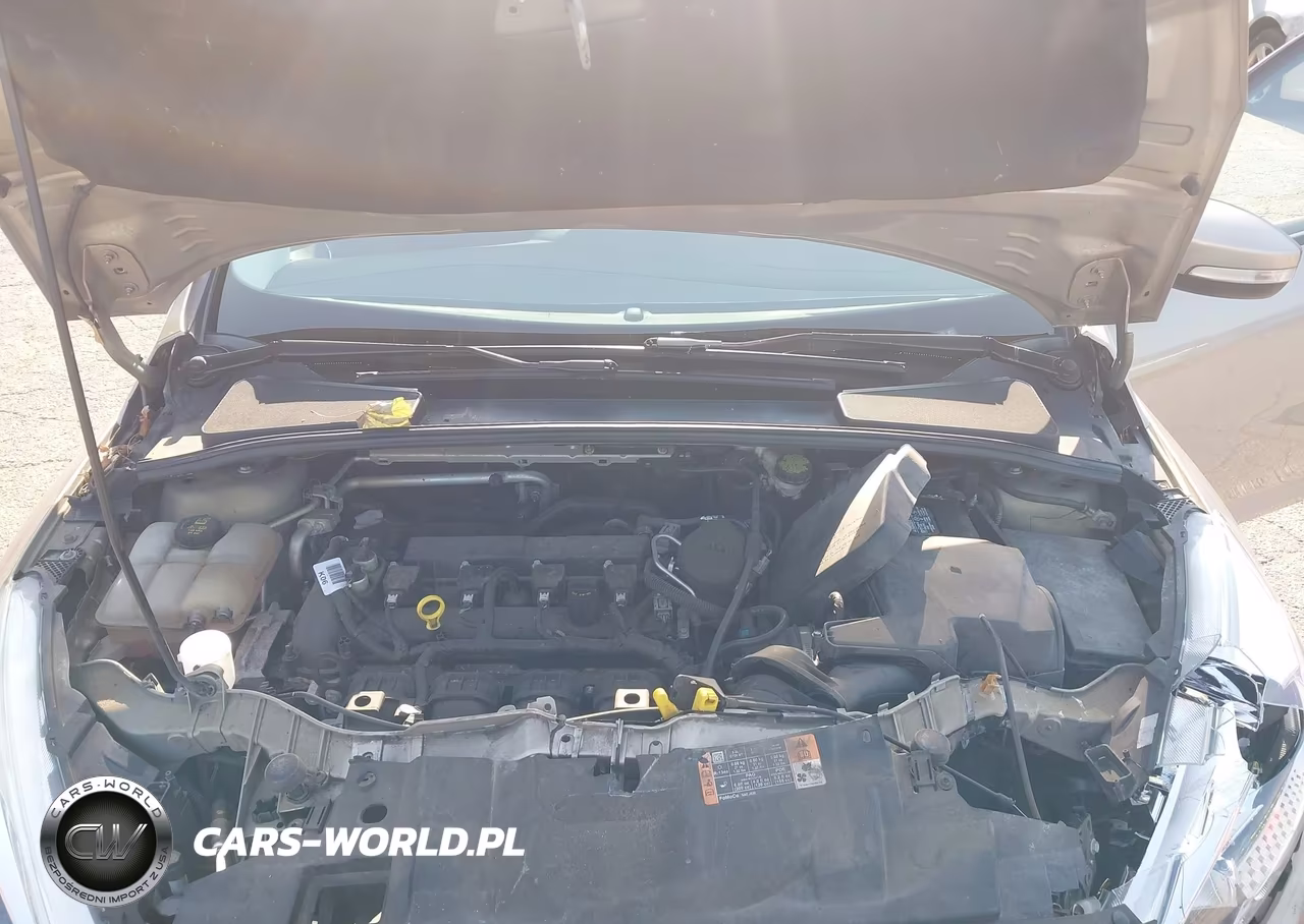 2016 Ford Focus Se VIN:1FADP3F27GL232908 - 10