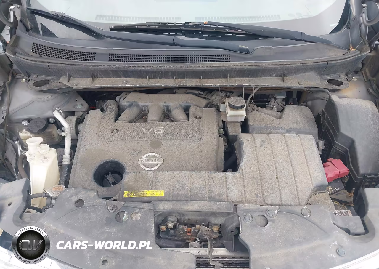 2010 Nissan Murano Sl VIN:JN8AZ1MW2AW140178 - 10