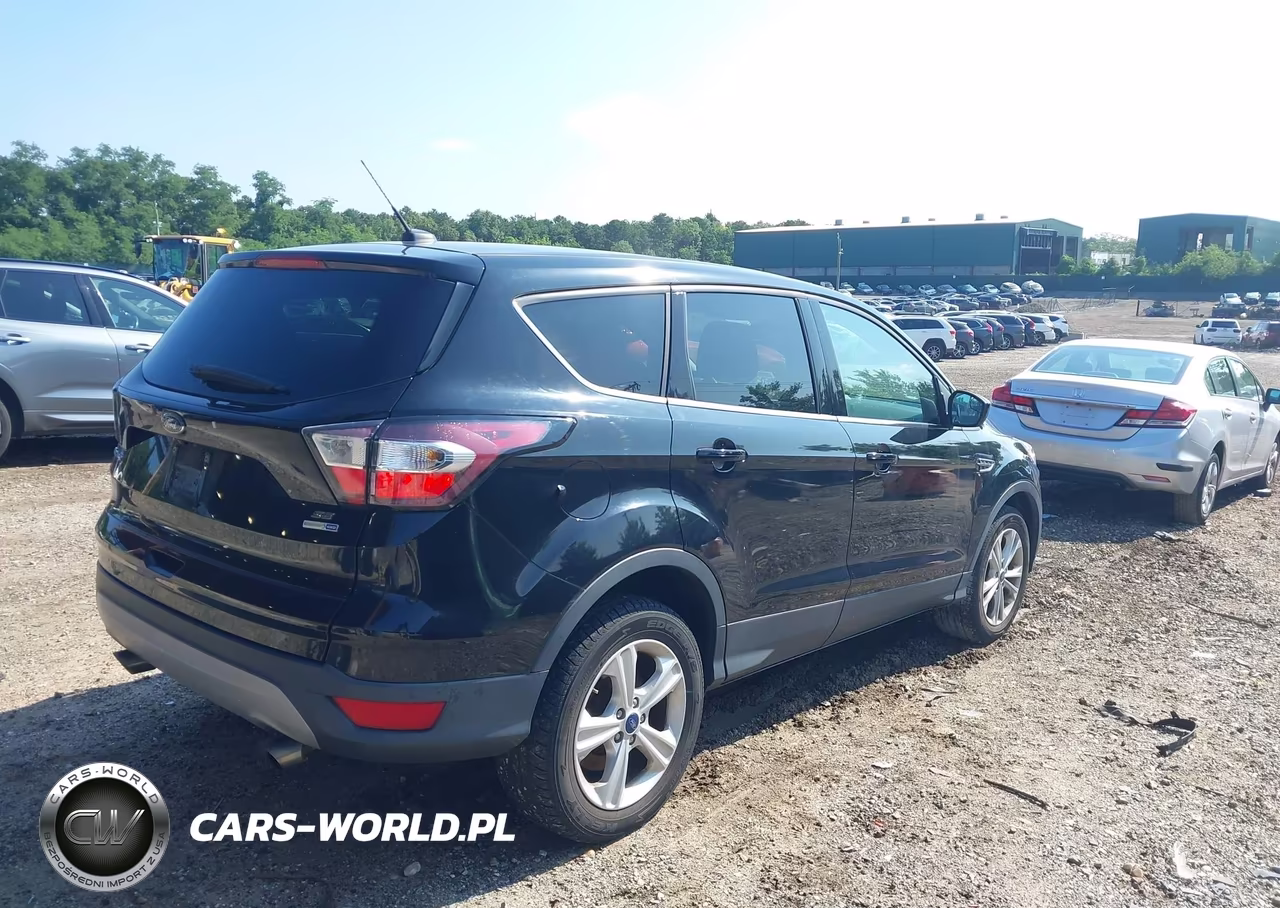 2017 Ford Escape Se VIN:1FMCU9G96HUA24555 - 4