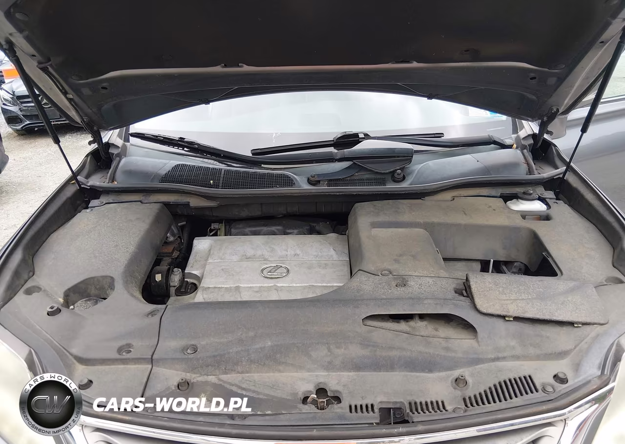 2013 Lexus Rx 350 VIN:2T2BK1BA7DC160401 - 10