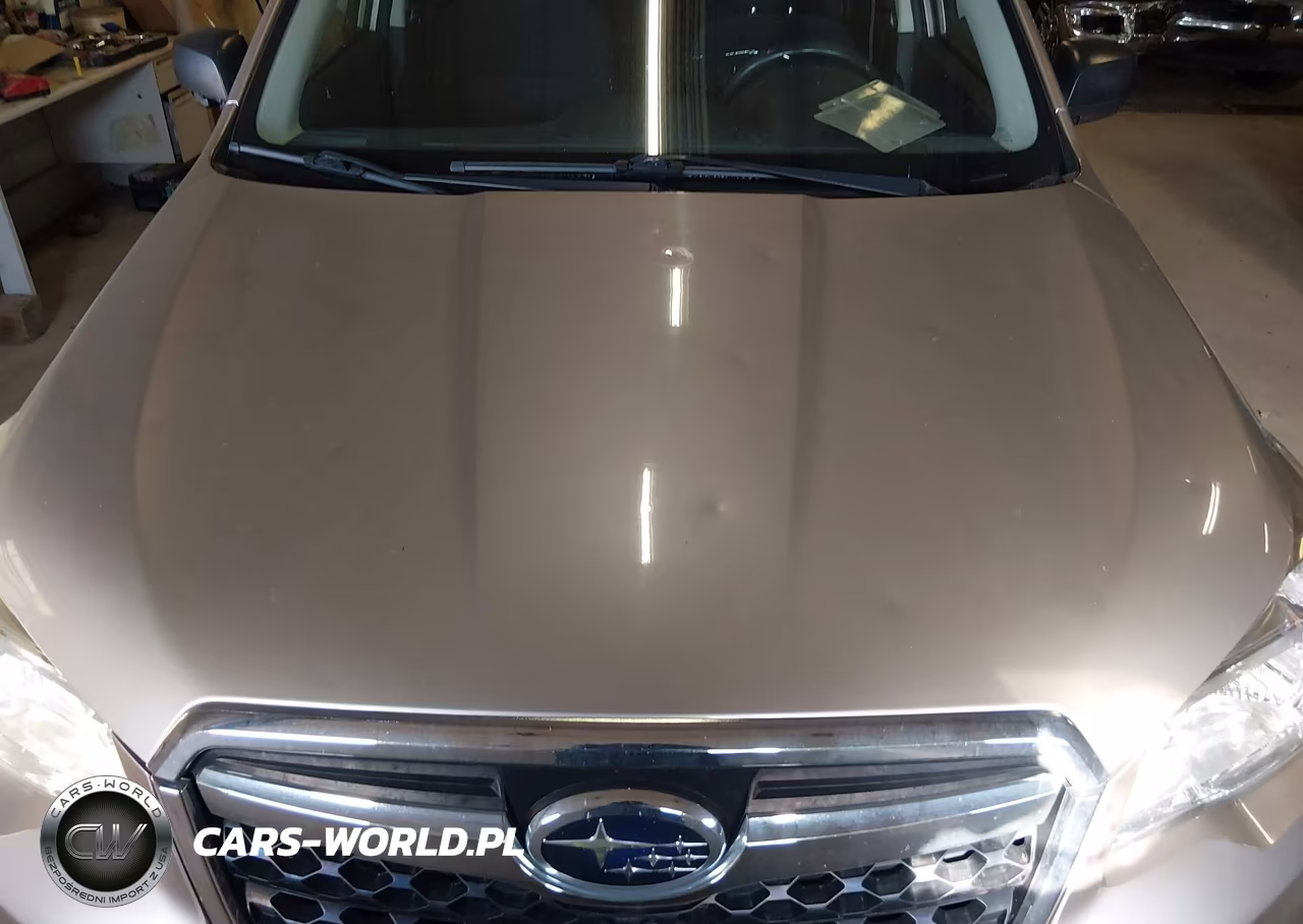 2015 Subaru Forester 2.5I VIN:JF2SJABC6FH809159 - 12