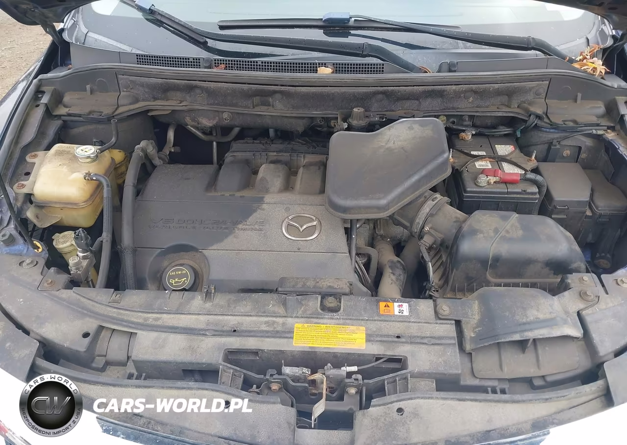 2010 Mazda Cx-9 Touring VIN:JM3TB3MV6A0203093 - 10