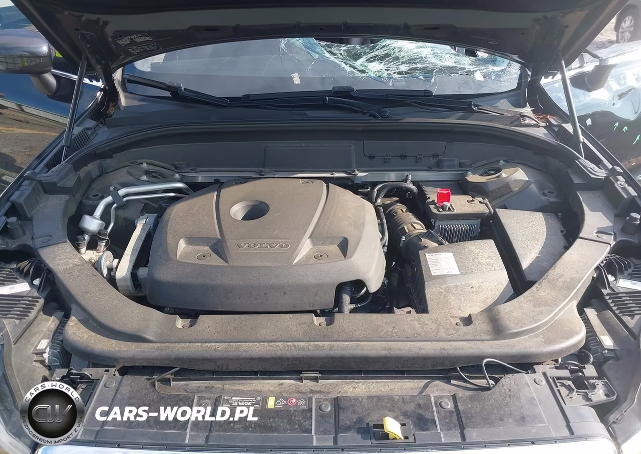 2019 Volvo Xc60 T6 Momentum VIN:YV4A22RK3K1343782 - 10