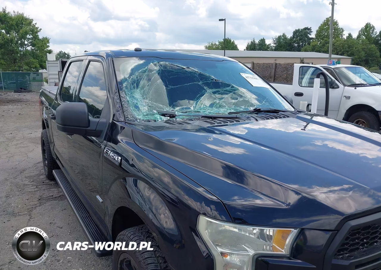 2017 Ford F-150 Xlt VIN:1FTEW1CP8HFA34988 - 6