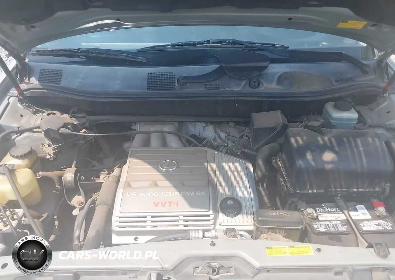 2002 Lexus Rx 300 VIN:JTJHF10U720267145 - 10