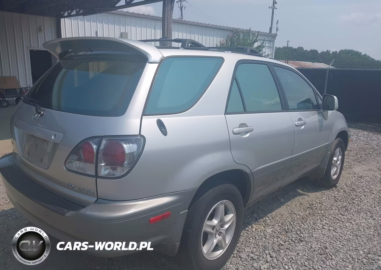2002 Lexus Rx 300 VIN:JTJHF10U720267145 - 4