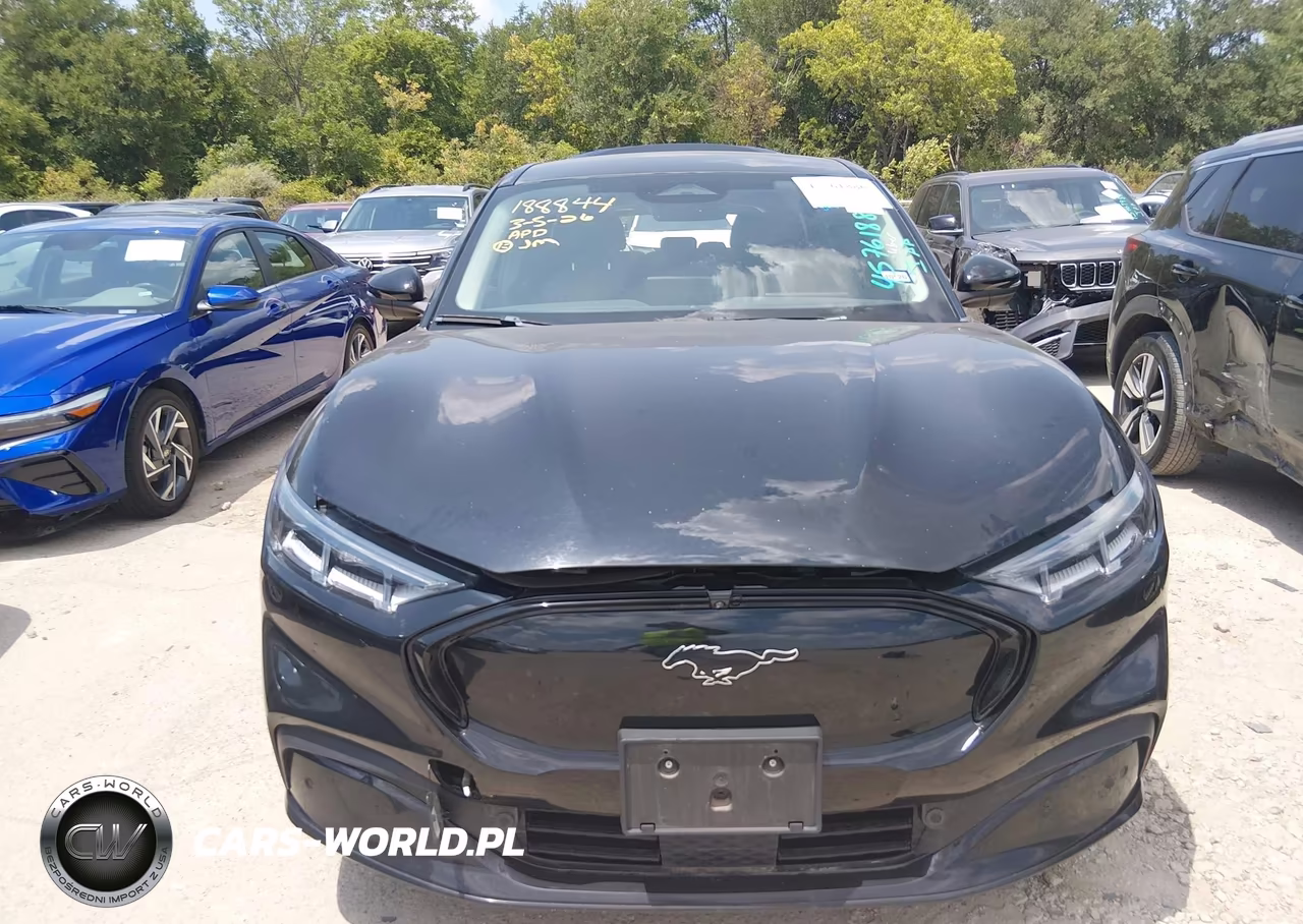 2023 Ford Mustang Mach-E Premium VIN:3FMTK3SU1PMA96636 - 12