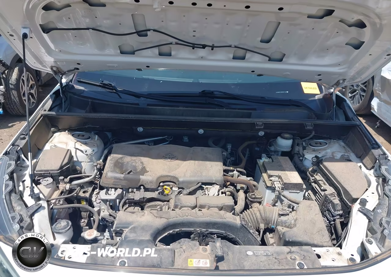 2019 Toyota Rav4 Xle VIN:JTMW1RFV3KD007115 - 10