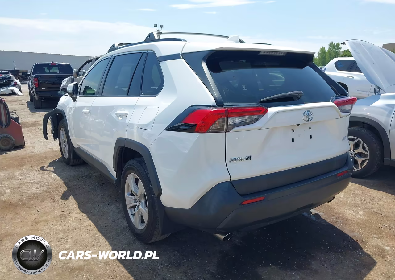 2019 Toyota Rav4 Xle VIN:JTMW1RFV3KD007115 - 3