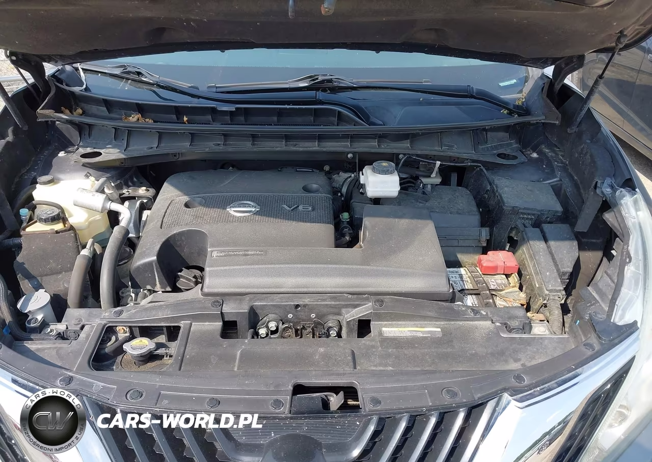 2016 Nissan Murano Platinum-S-Sl-Sv VIN:5N1AZ2MH2GN141523 - 10