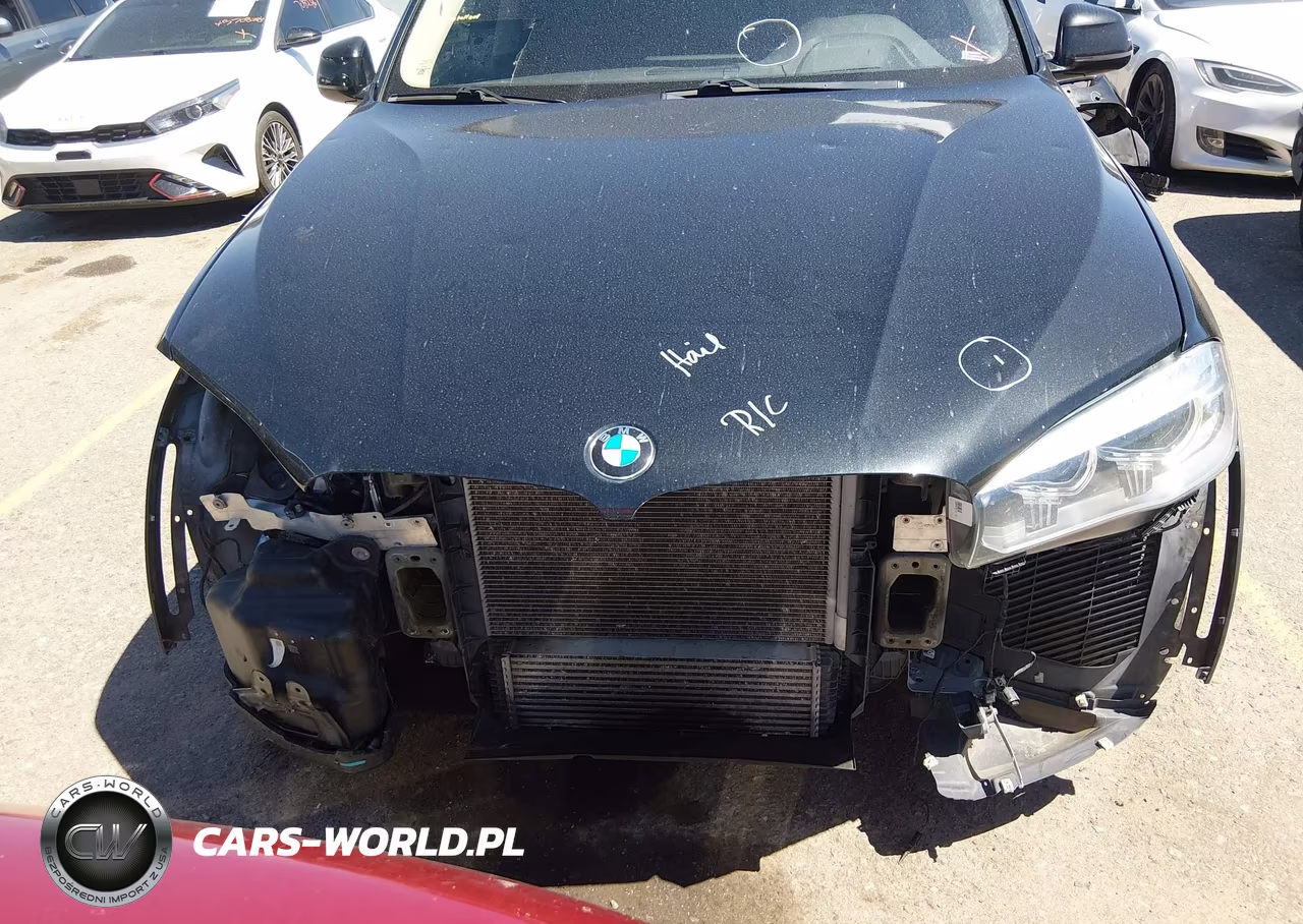 2015 BMW X5 xDrive35D VIN:5UXKS4C53F0N06124 - 13