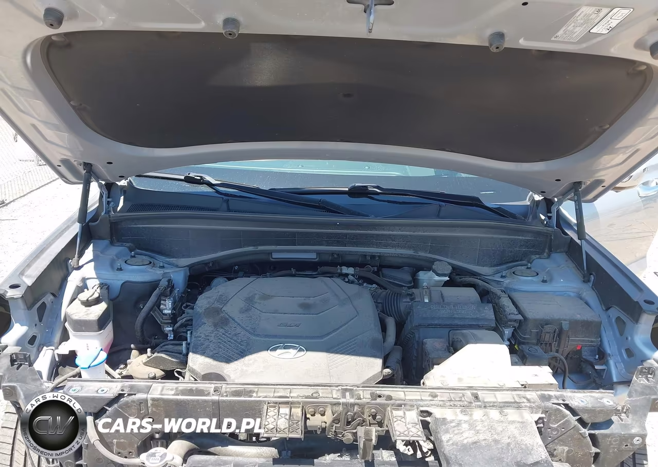 2021 Hyundai Palisade Calligraphy VIN:KM8R7DHE8MU287267 - 10