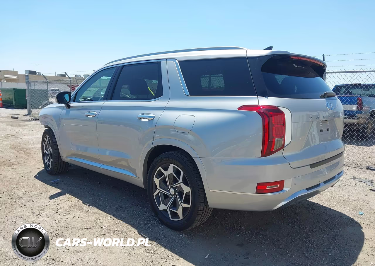 2021 Hyundai Palisade Calligraphy VIN:KM8R7DHE8MU287267 - 3