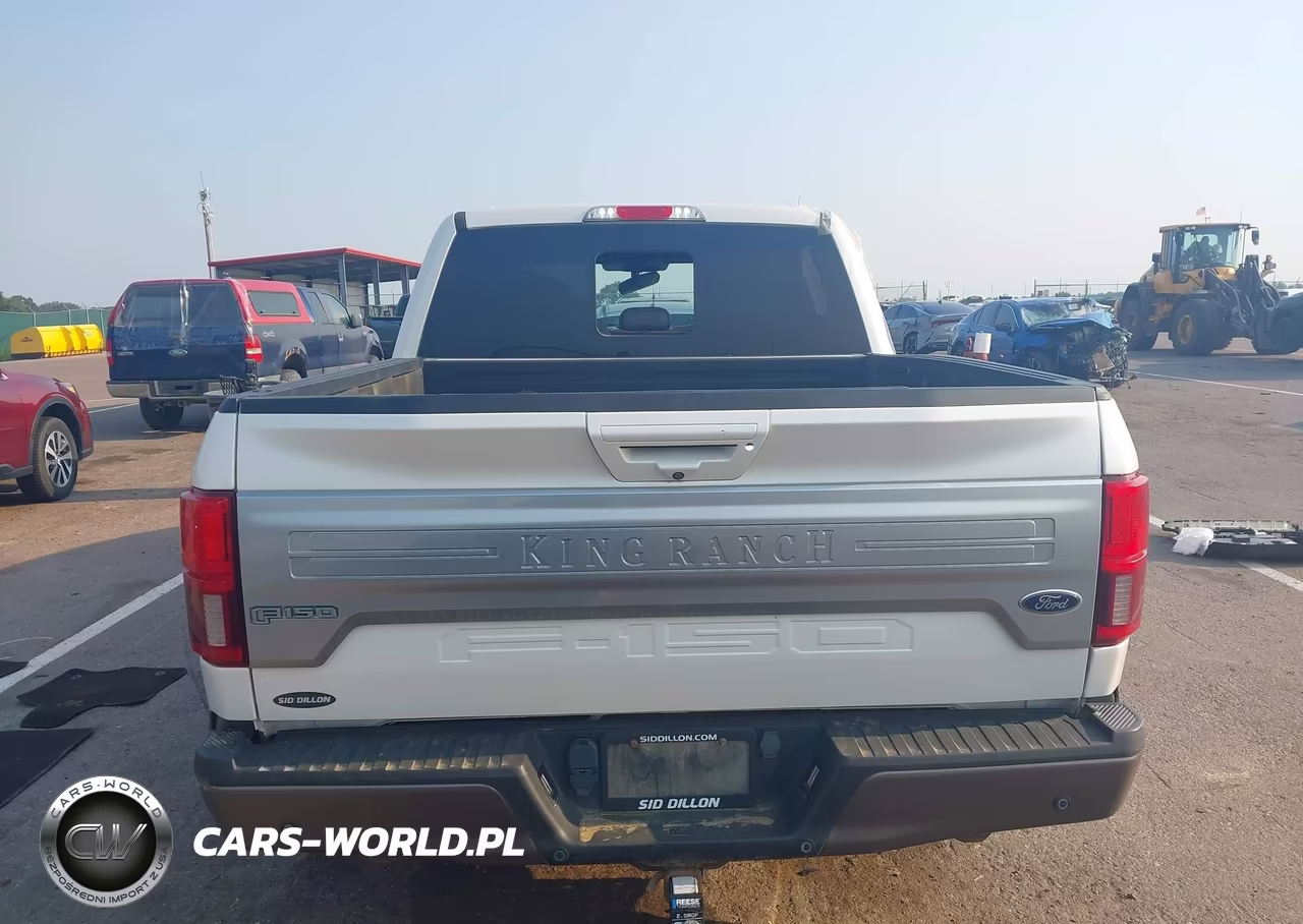 2019 Ford F-150 King Ranch VIN:1FTEW1E51KFA61615 - 17