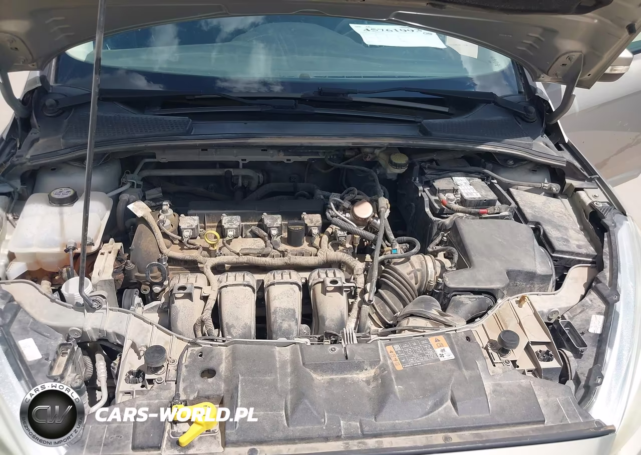2016 Ford Focus Se VIN:1FADP3F2XGL365940 - 10