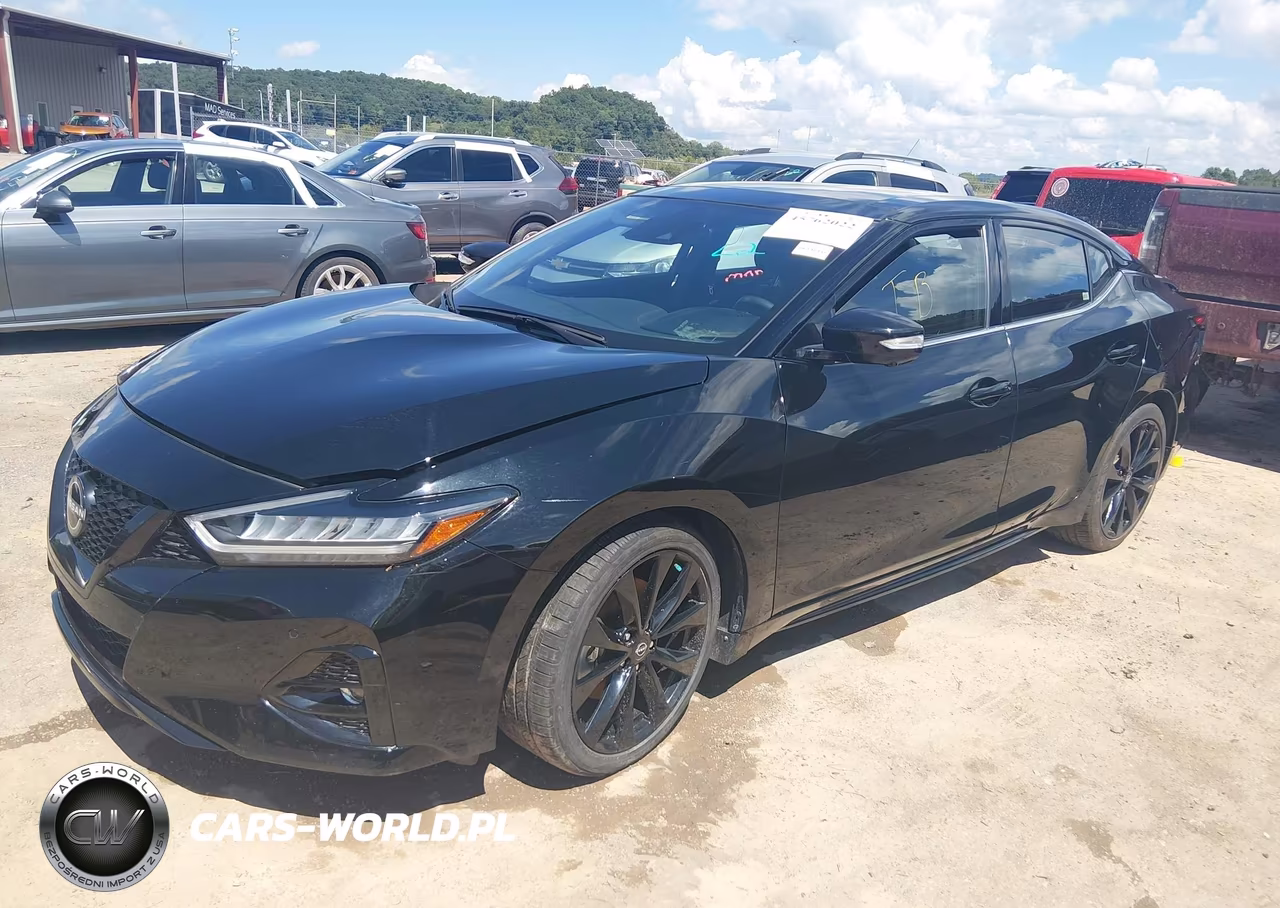 2023 Nissan Maxima Sr Xtronic Cvt VIN:1N4AA6EV8PC505095 - 2