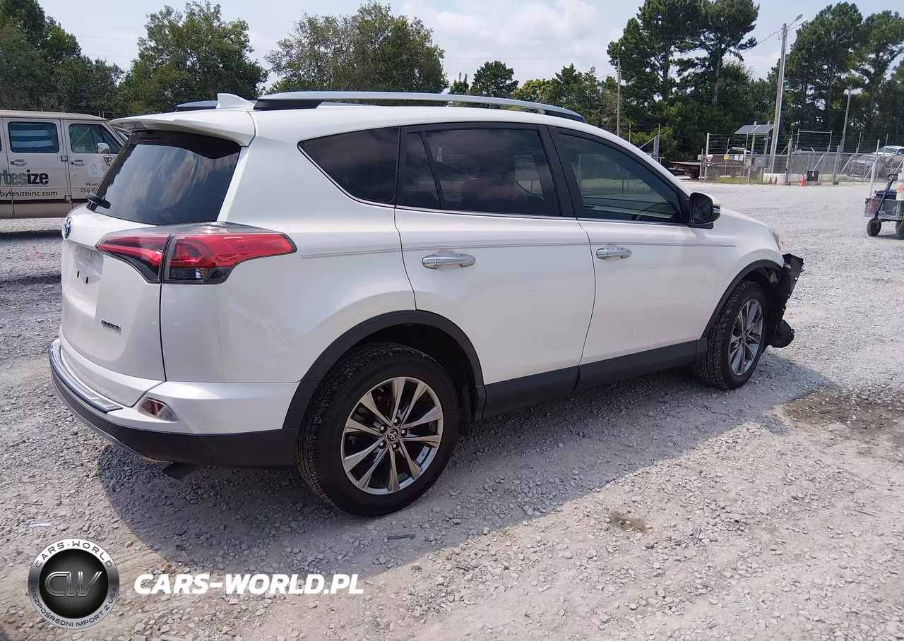 2018 Toyota Rav4 Limited VIN:JTMYFREV2JJ167028 - 4